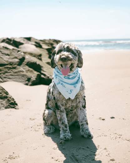 Be You Bandana
