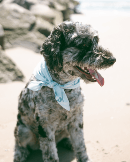 Be You Bandana