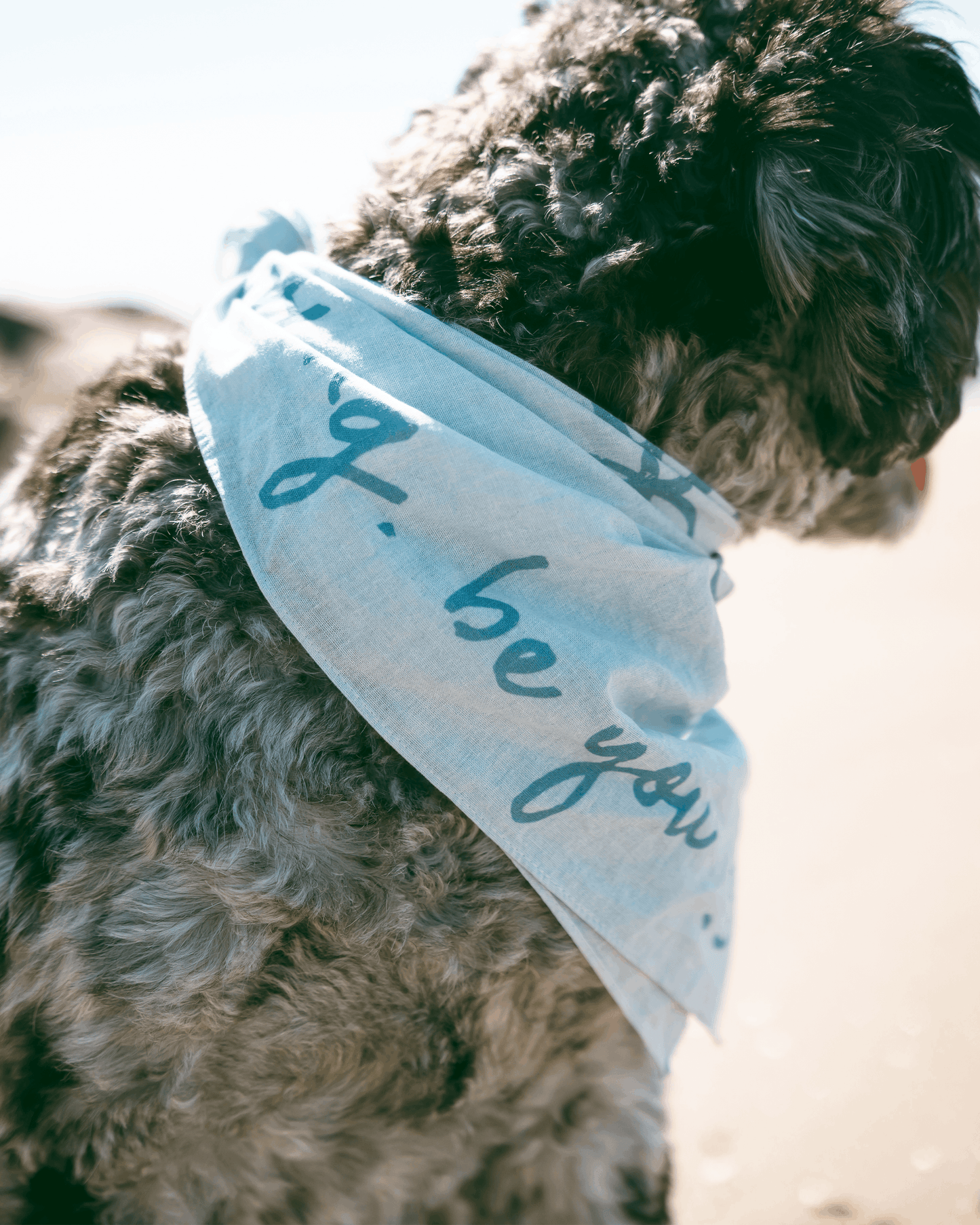 Be You Bandana